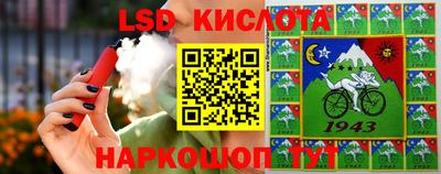 крисы Гагарин