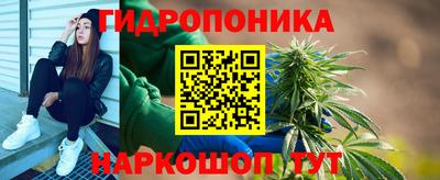крисы Гагарин