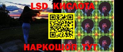 крисы Гагарин