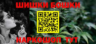 индика Гай