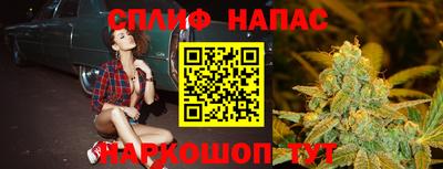 индика Гай