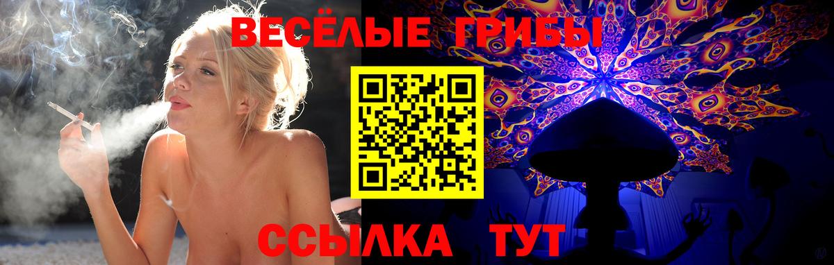 Псилоцибиновые грибы Psilocybe Назрань