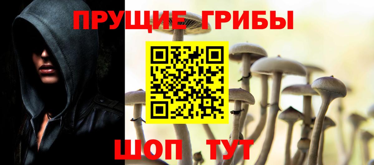 Назрань  Галлюциногенные грибы Psilocybine cubensis  Вход с VPN  Псилоцибиновые грибы Magic Shrooms 