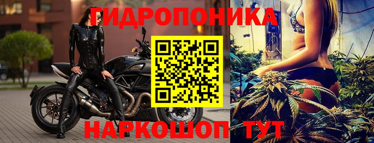 Марихуана Ganja  Вход с VPN  Канабис OG Kush  Шишки марихуана индика  Назрань 